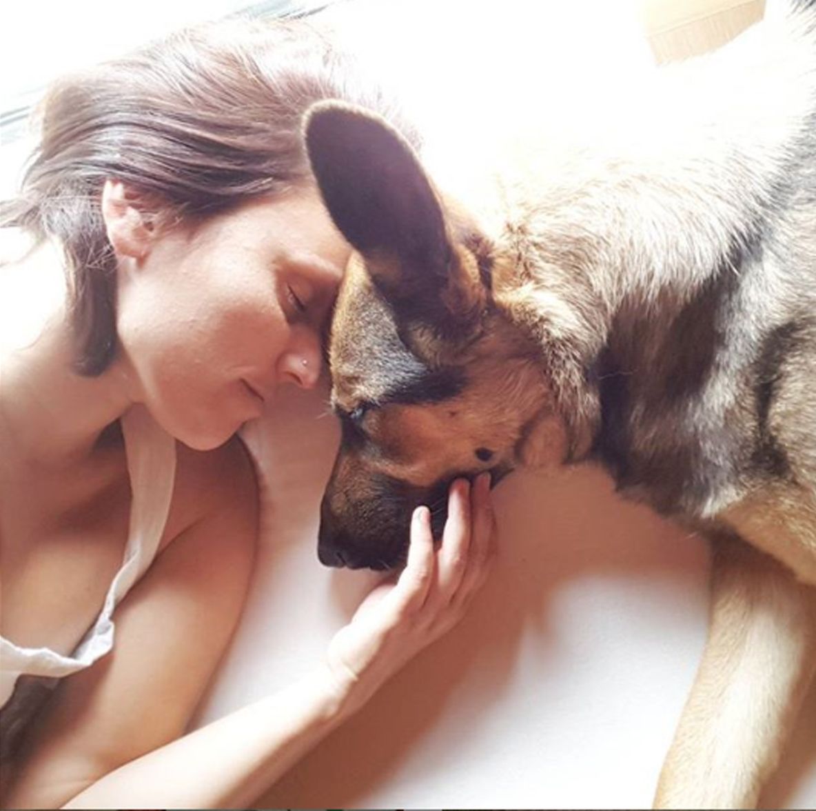 Comunicación animal